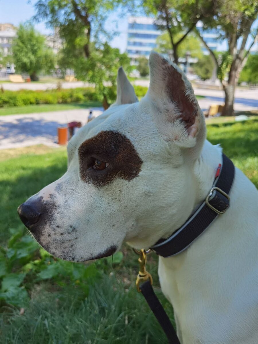 Красота-ляпота