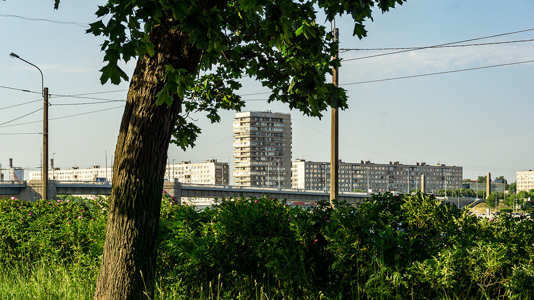 Муниципальный округ дачное санкт петербург. Парк Куракина дача.