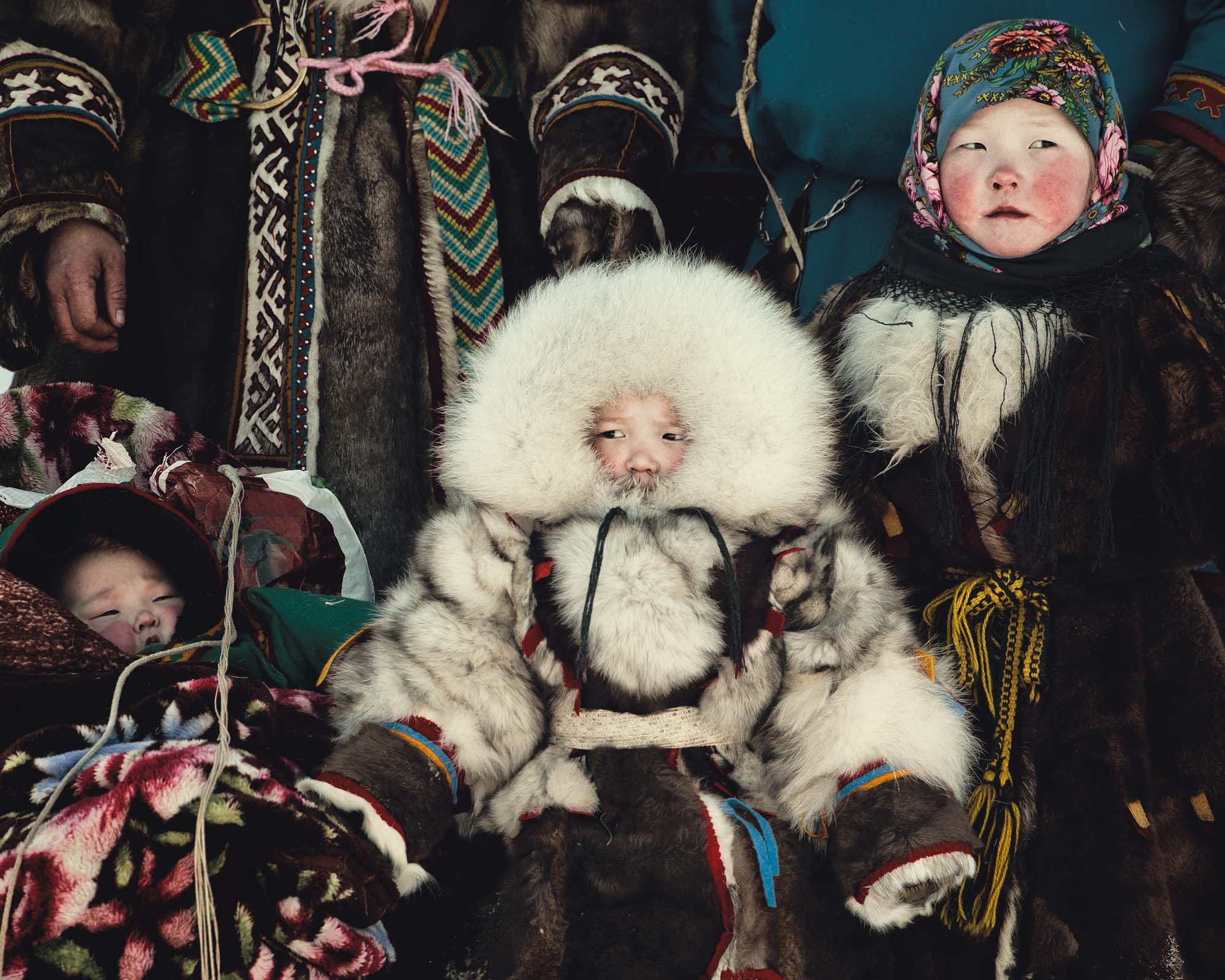 Ненцы: занимательные факты о народе оленеводов6
