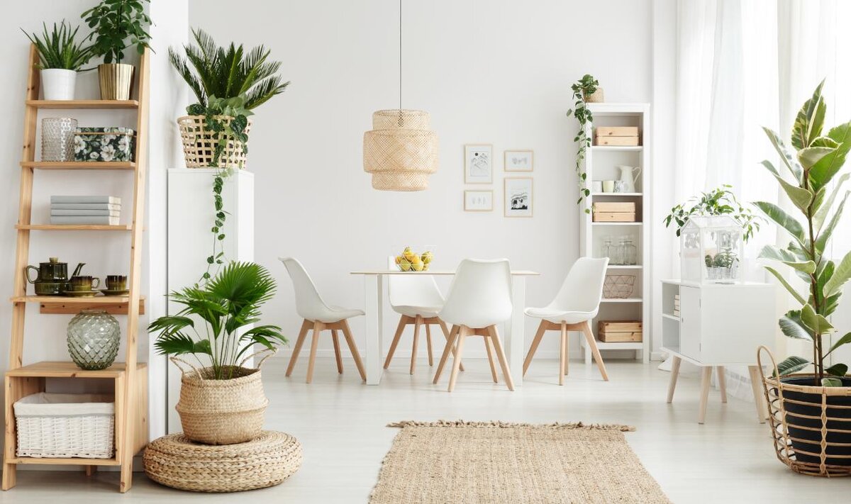 Фото из  Google