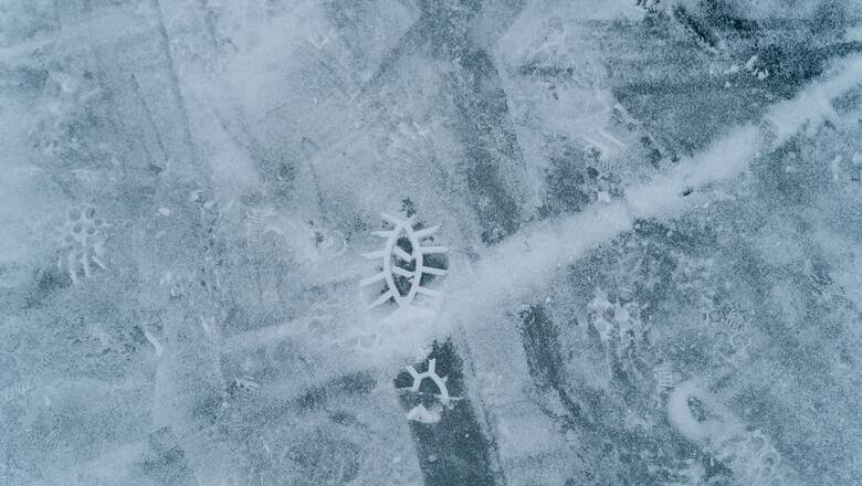 Фото: pexels.com