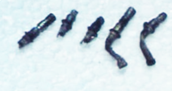 Все фото из открытых источников