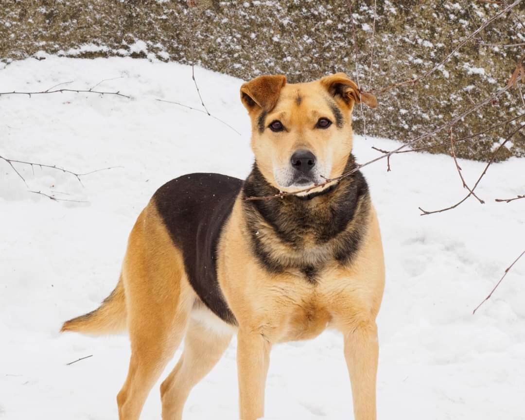Малышка. Умная, любознательная, сильная. Такой была всегда.