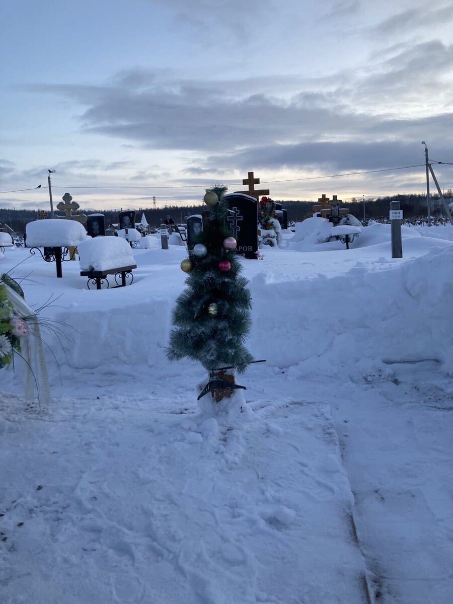 Мурманская область, 24 декабря