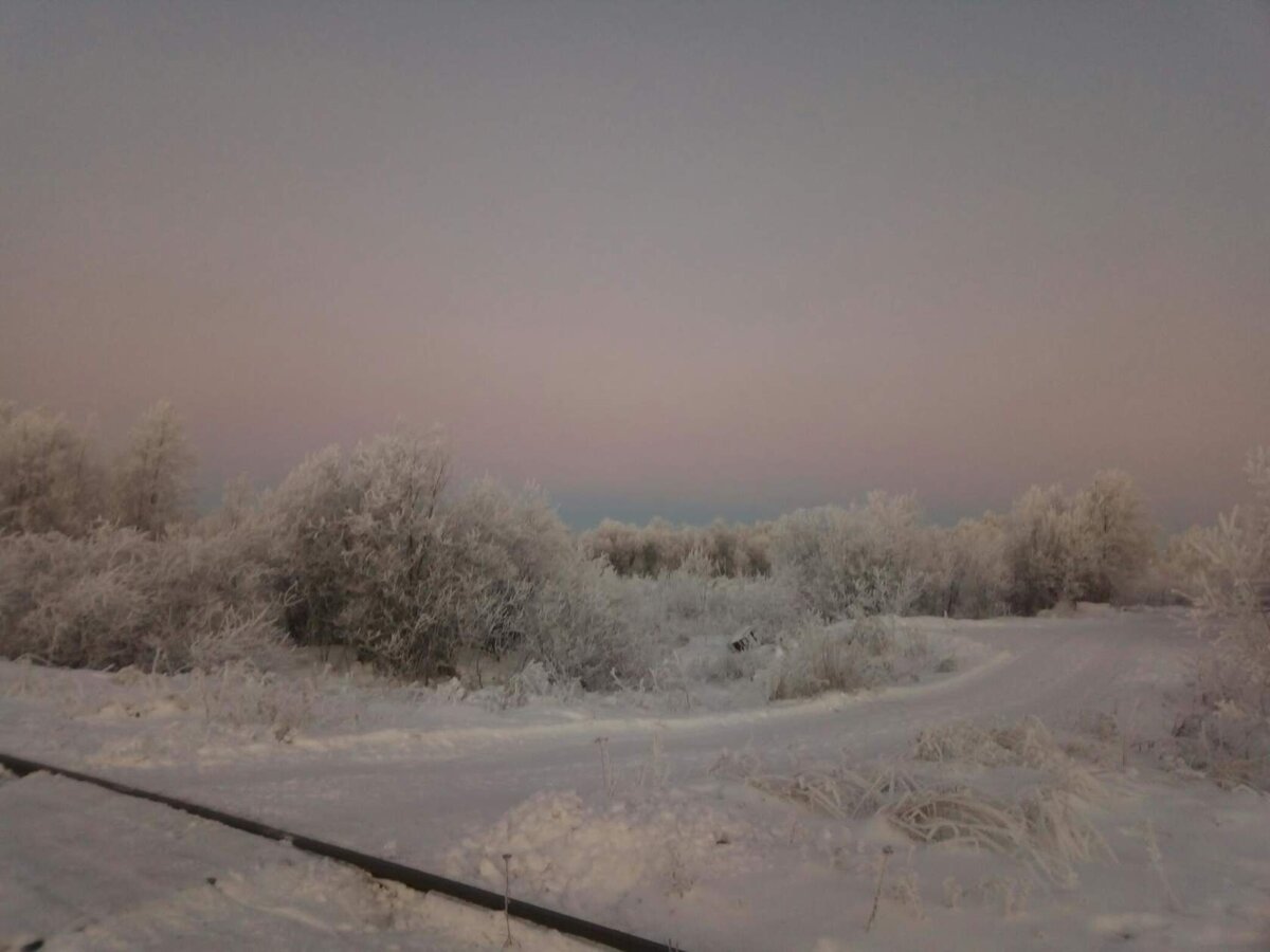 Фото из архива пвтора. 