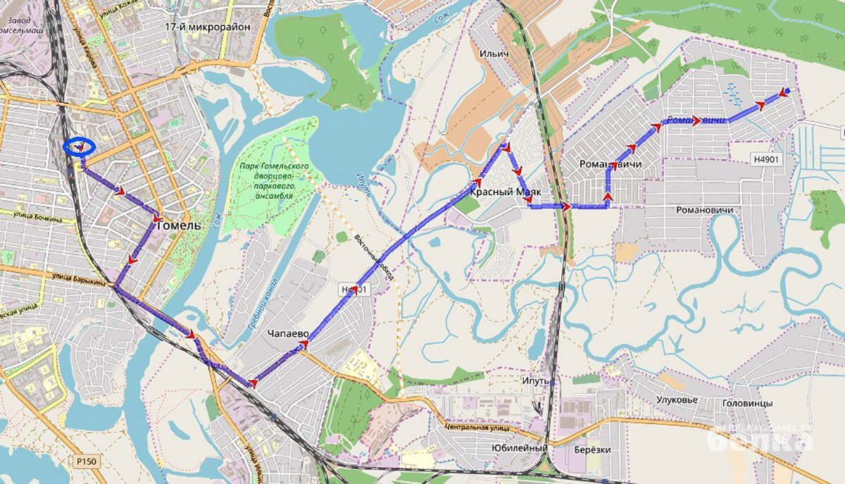 В Гомеле обсуждают новое расписание автобусов в Романовичи | Журнал  «Белка». Гомель. Беларусь | Дзен