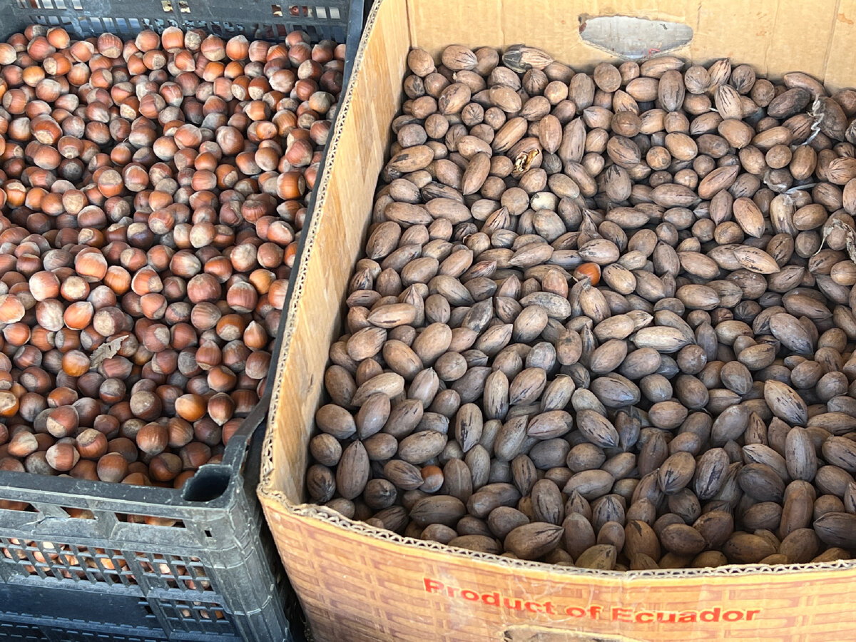 National Pecan Sandy Day