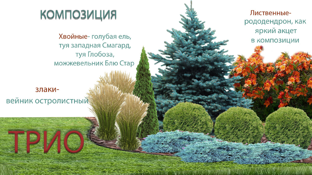 композиция  в целом