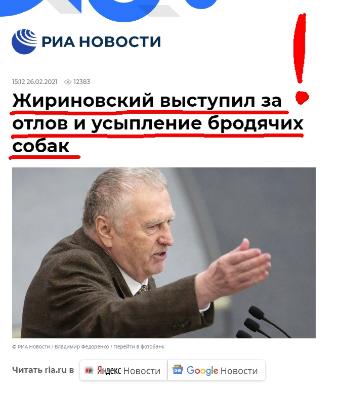 https://ria.ru/20210226/sobaki-1599109691.html