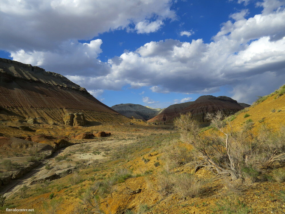 Алтын -Эмель
