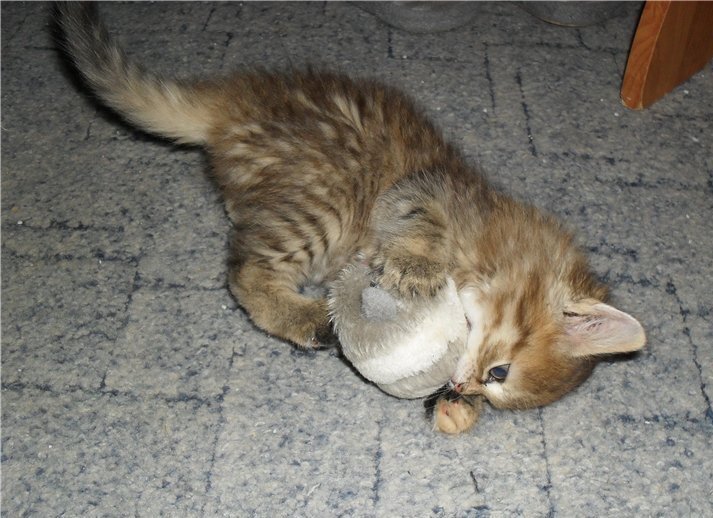 На передержке