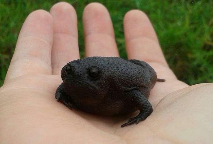 фото Яндекс картинки