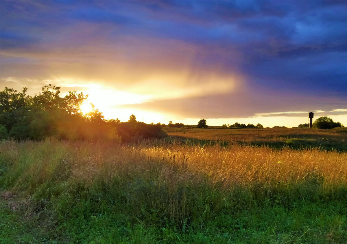 За нашей околицей. Фото автора