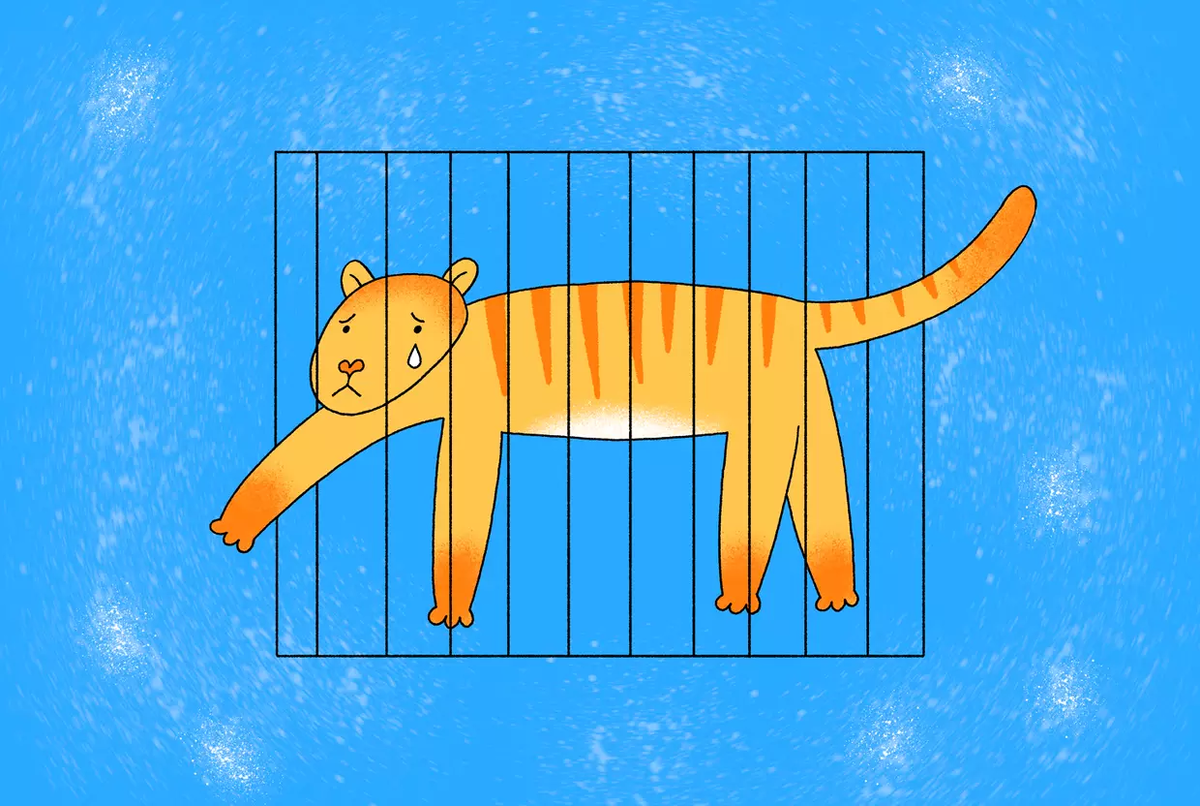 © Иллюстрация Стрельцова Лиза