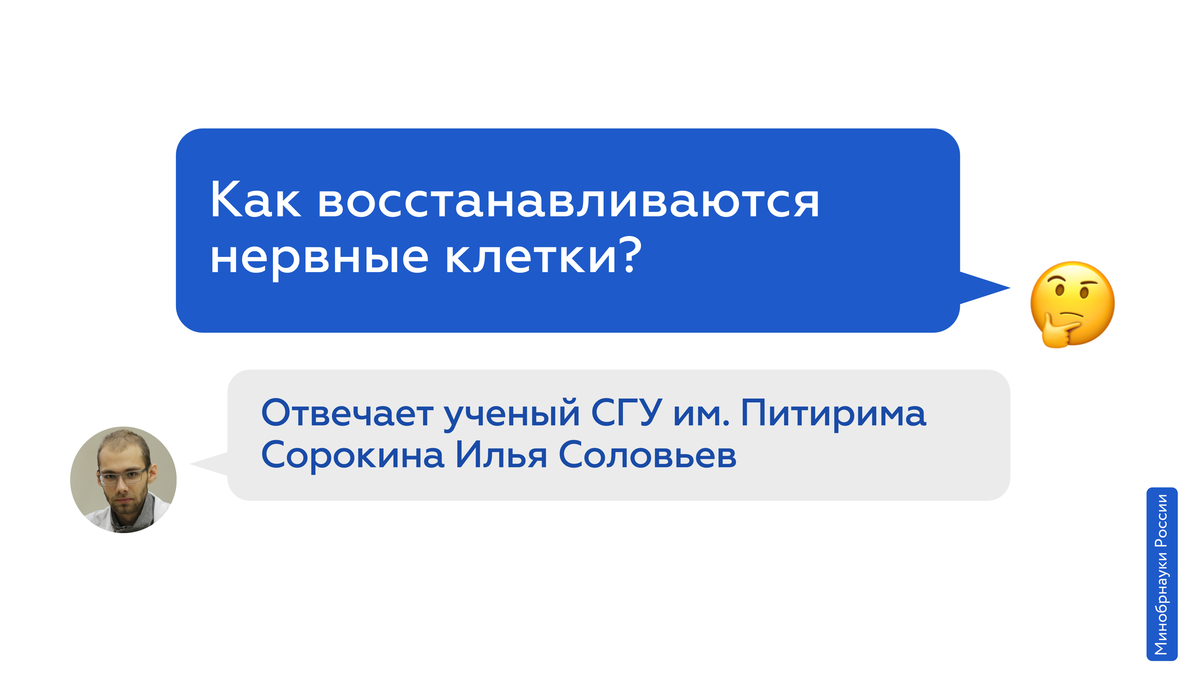 Как восстанавливаются нервные клетки? | Минобрнауки России | Дзен