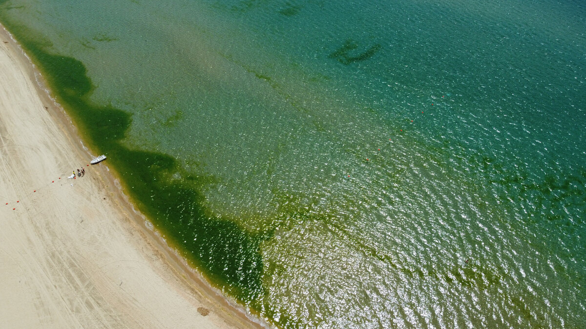 Джемете море цветет. Море Анапа Джемете. Анапа Витязево море цветет 2021. Джемете Анапа море цветет.