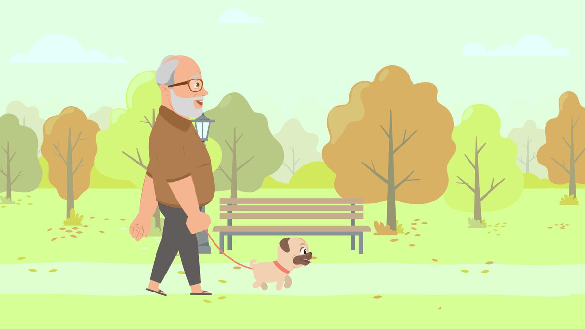 Необходимость соблюдать расписание для своего питомца может помочь вам сохранить остроту ума.