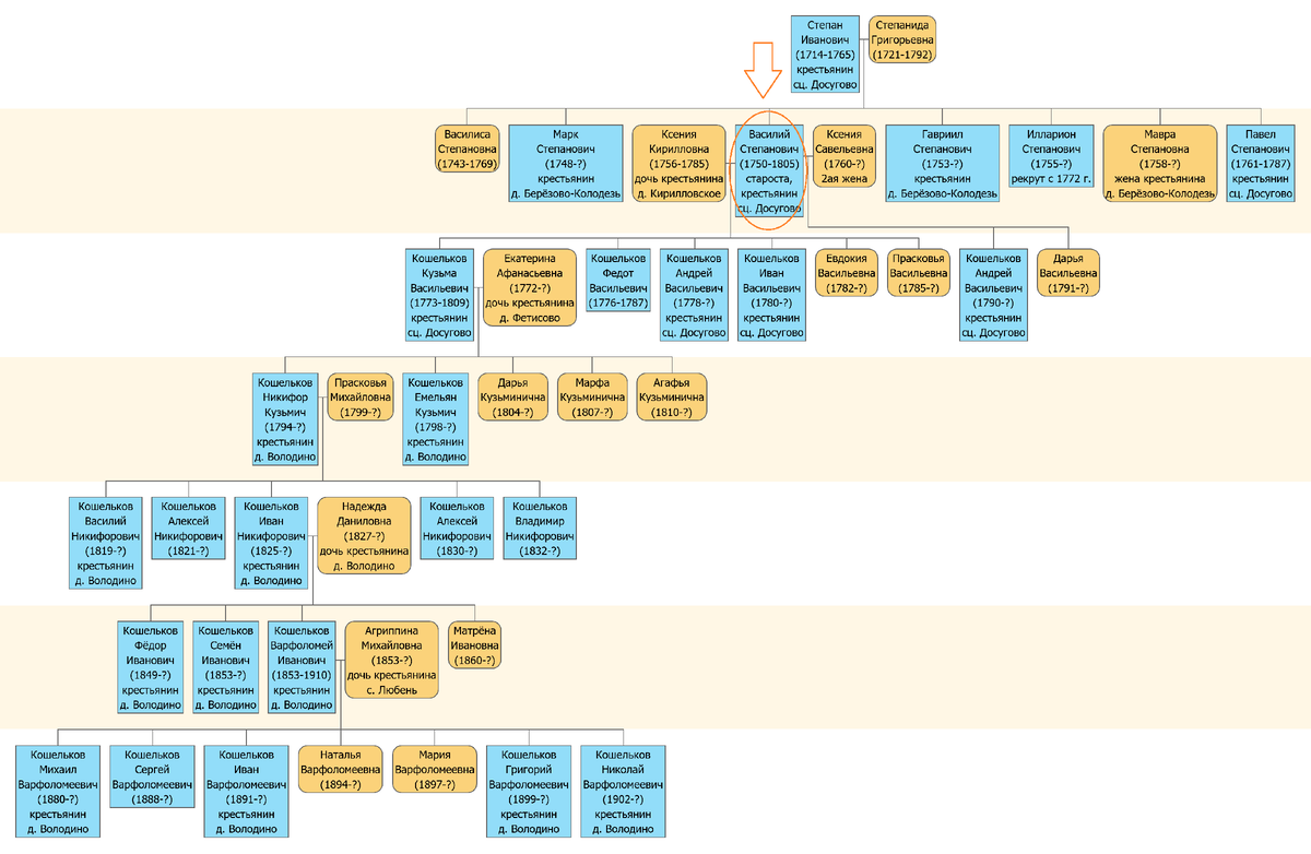 Фрагмент родословной Кошельковых