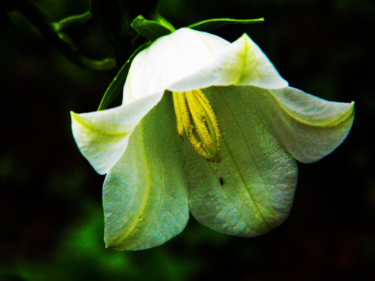 фото автора канала