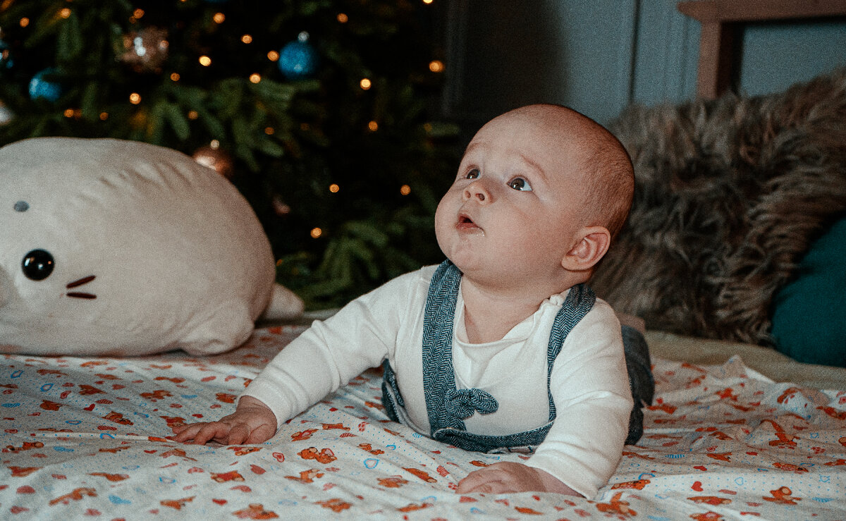 Tags: #morfeyphoto #alexmorfey