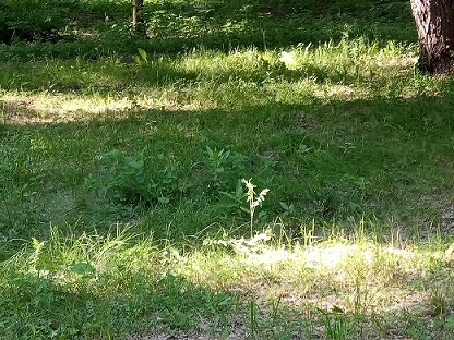 Фотография из личного архива автора