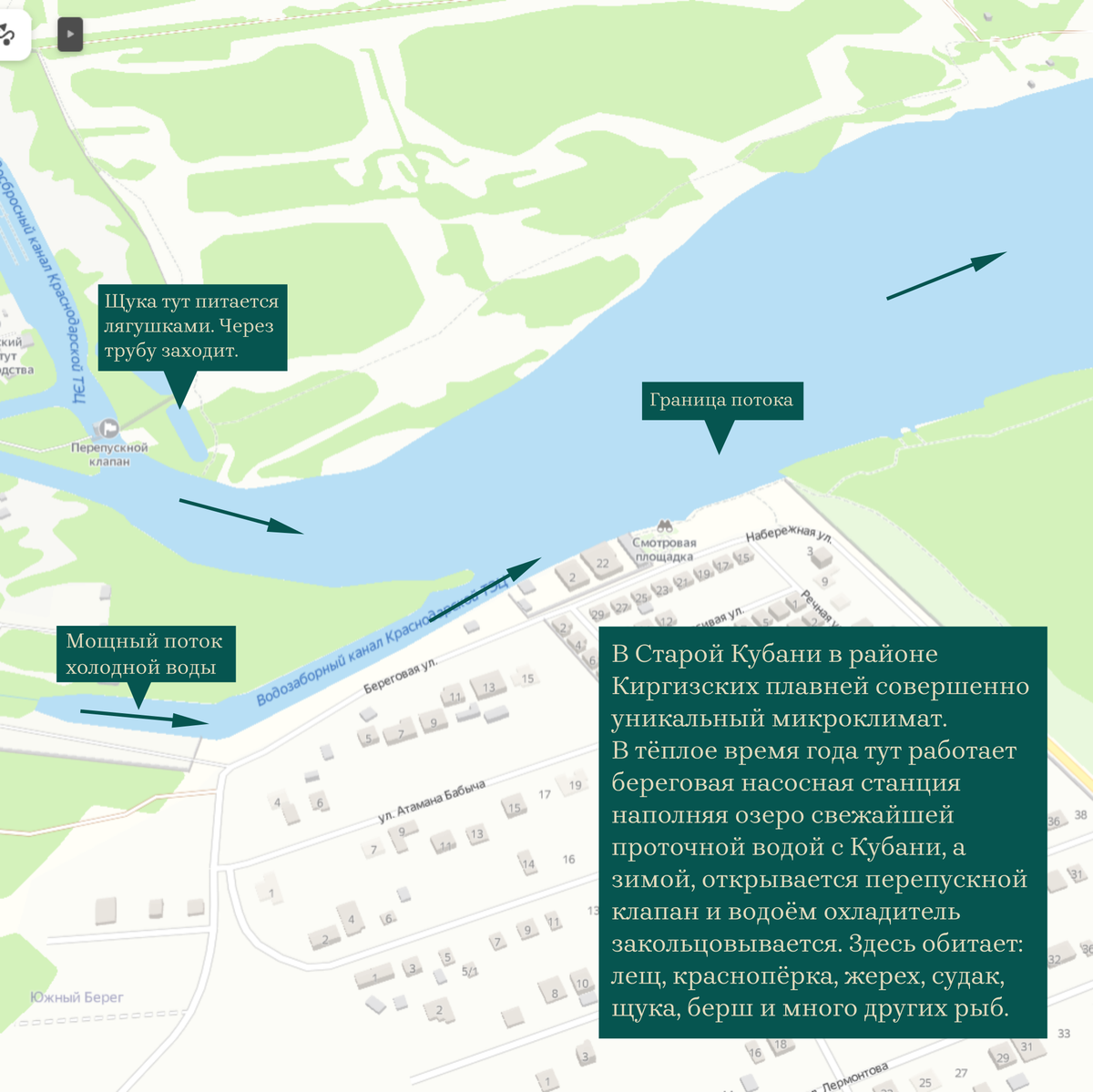 Старая Кубань в районе Киргизских плавней