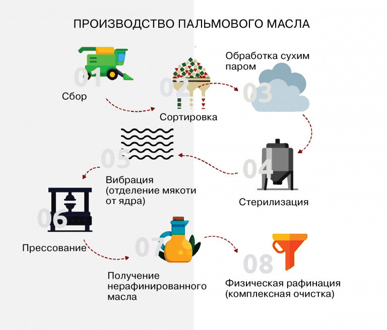 Индивидуальный проект пальмовое масло