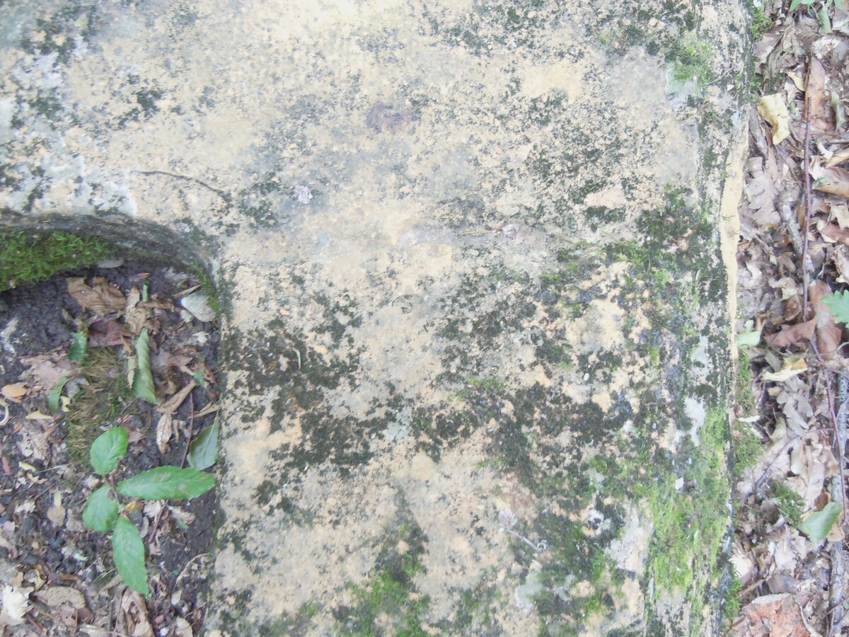 Решил в отдельную тему обособить случайные наблюдения, касающиеся археологических объектов, в которых отсутствуют или, скорее, не доминируют аспекты разграбления, уничтожения или охраны памятников...-23