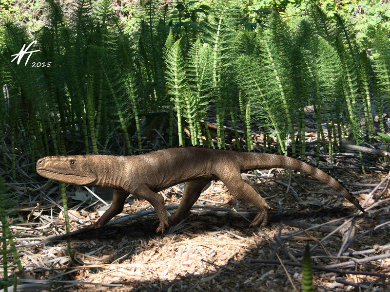 Эупаркерия