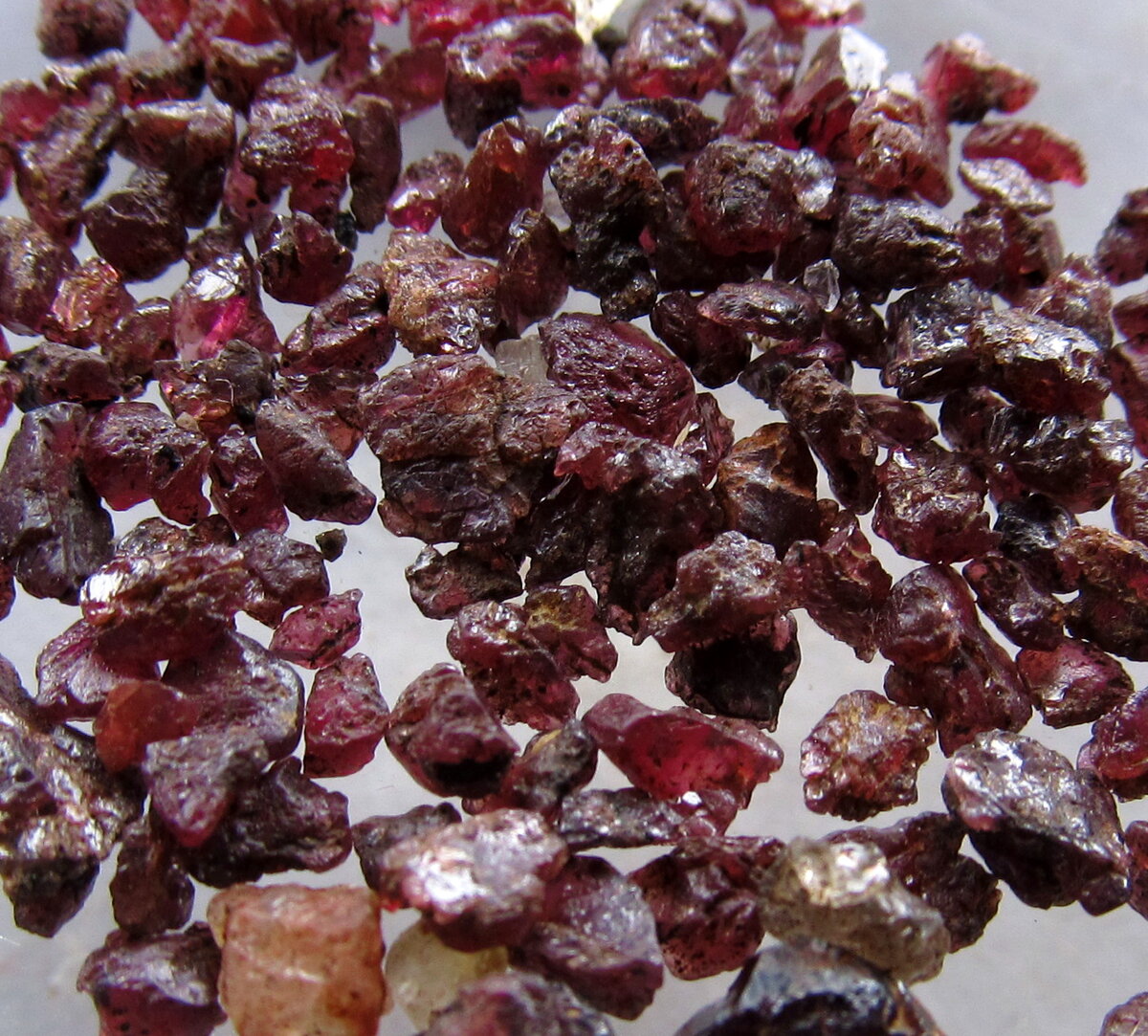 Гранаты Шумги-1