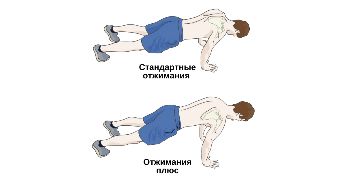 Как научиться отжиматься от пола девушкам