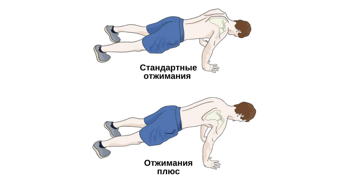 На что влияют отжимания. Упражнения отжимания. Лопаточные отжимания. Отжимания на лопатках. Отжимания картинки.