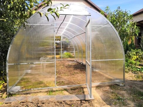 Теплица в тени деревьев