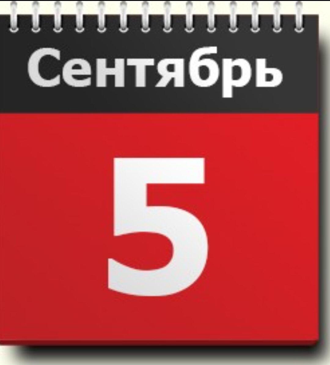 9 ноября картинки. Лист календаря. 3 Декабря календарь. 5 Июня календарь. 6 Октября календарь.