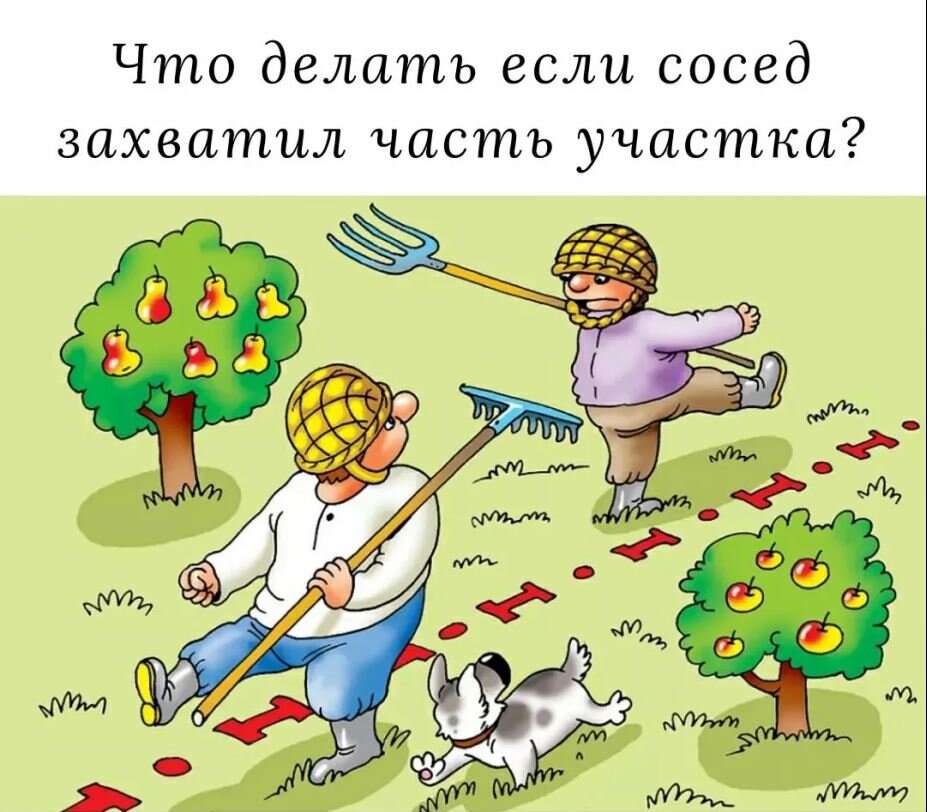 Росреестр разъяснил, что делать, если сосед по даче захватил вашу землю