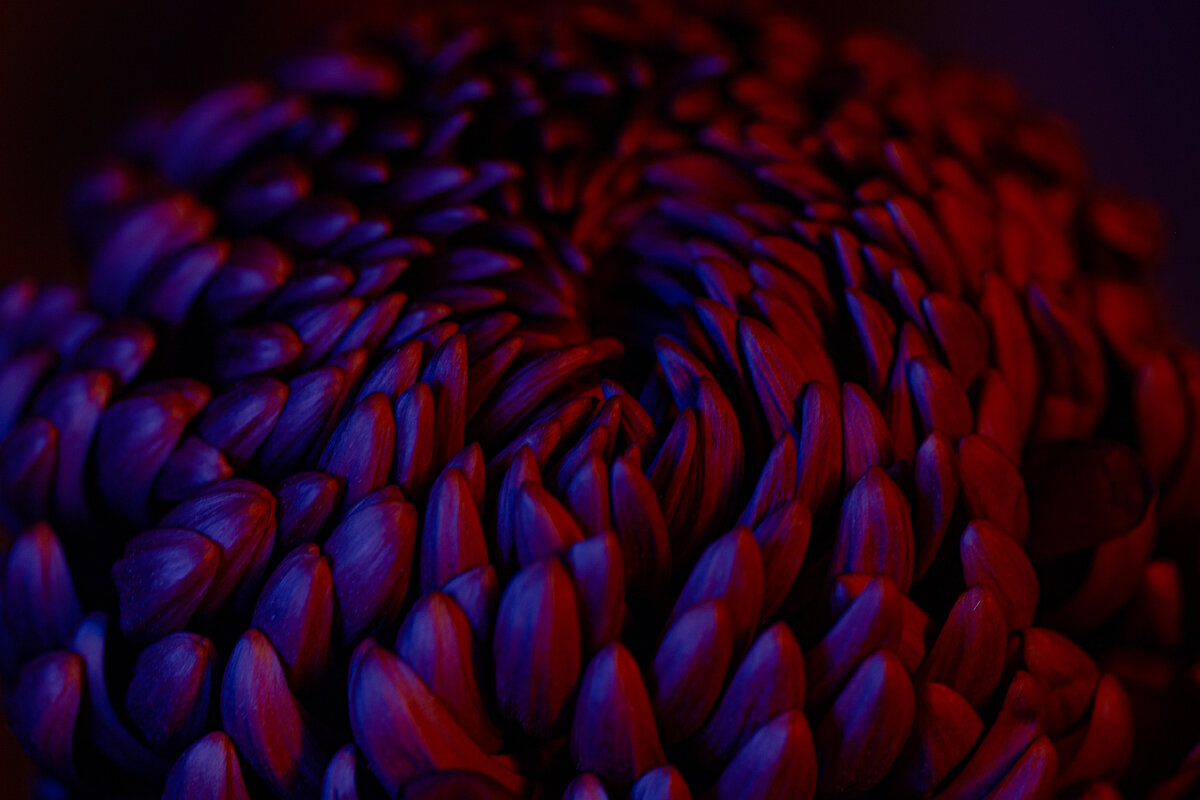 фото с с айта https://unsplash.com/
