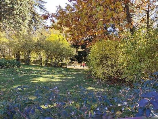     Фото: МК в Туле