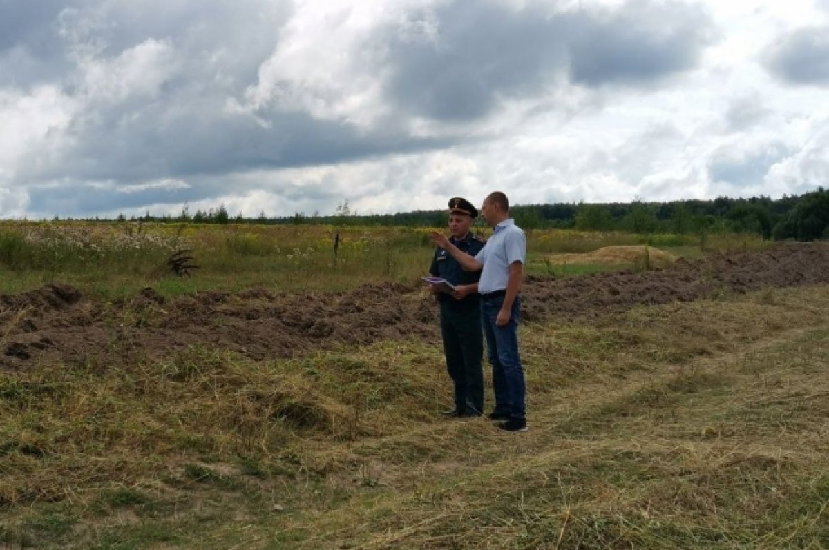    В Судогодском районе более 33 га сельхозугодий заросли сорняками