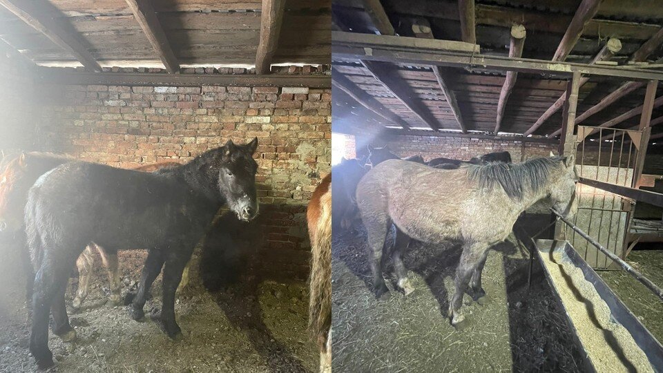     Фото: Нина Крылова.