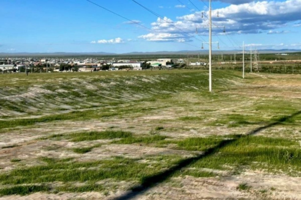    Зелёная трава выросла на месте убранных свалок в Борзе