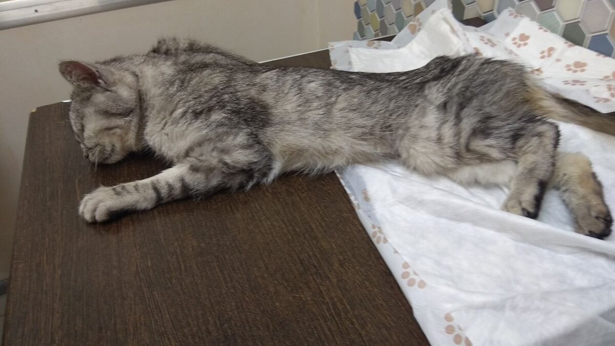 Личное фото.