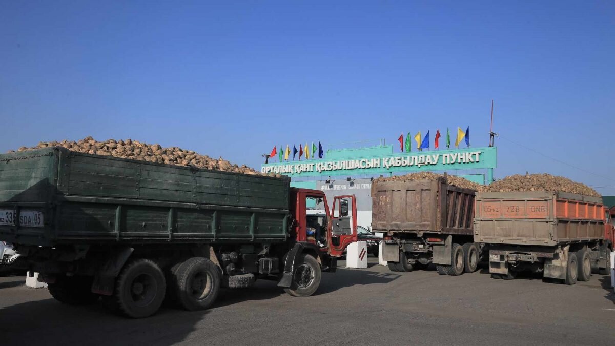    Фото: Акимат области Жетысу/Дмитрий Ерофеев Рашид Ахмежанов