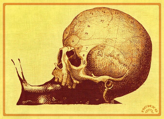 Психологический тест на определение главных черт характера человека.