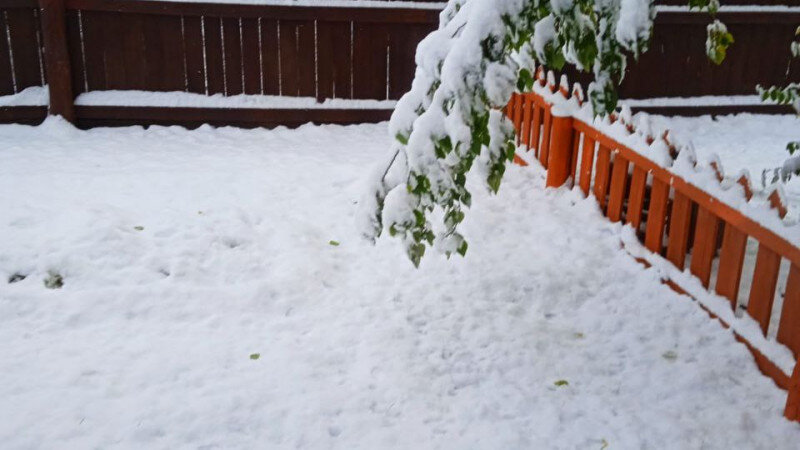     Снег на Алтае. Телеграм-канал "Горно-Алтайск".