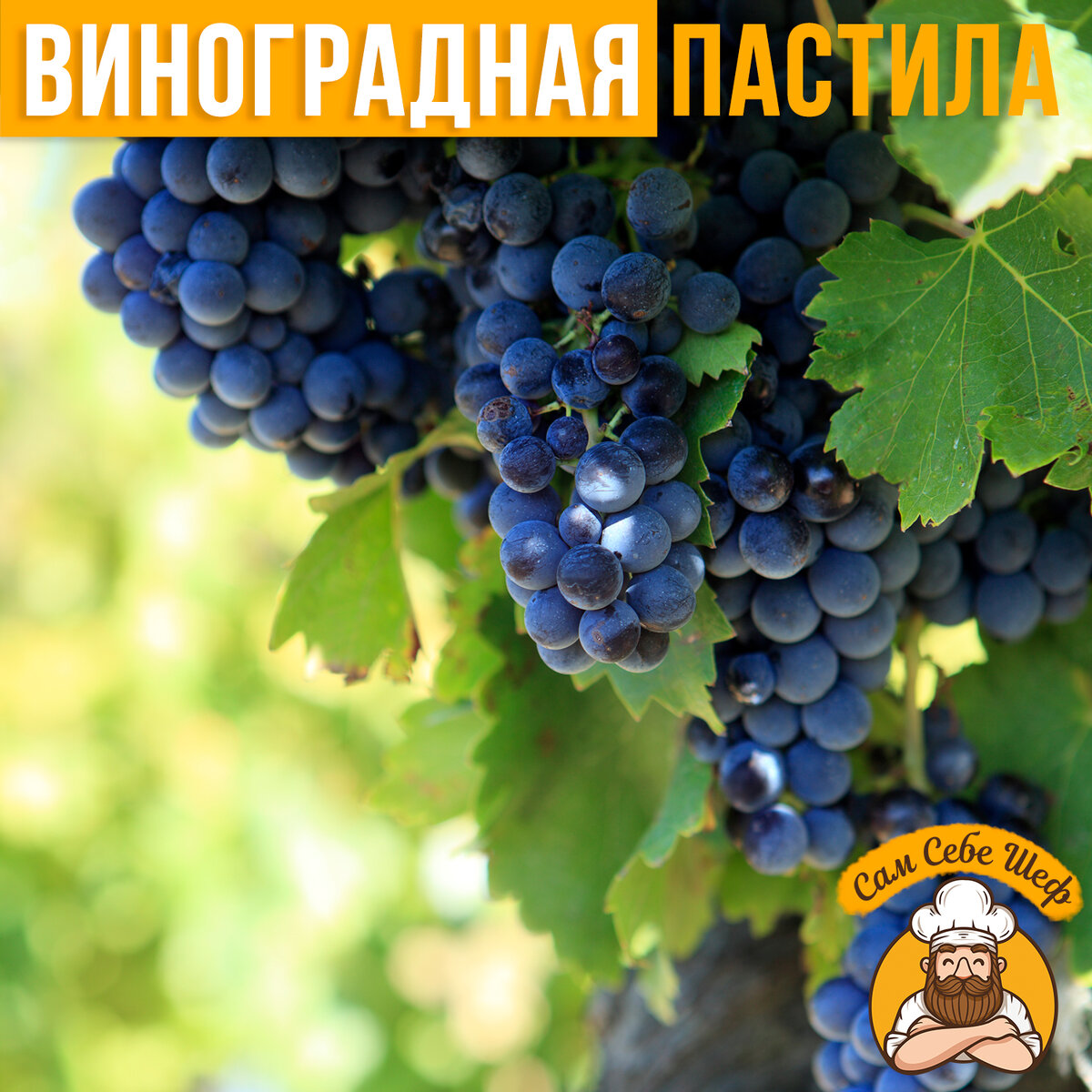 Виноградная пастила. Полезные свойства и способ приготовления! | Сам ...