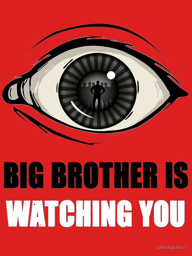 https://www.redbubble.com/i/t-shirt/Big-Brother-Is-Watching-You-by-galaxysalvo/16066035.XNZKR.XYZ