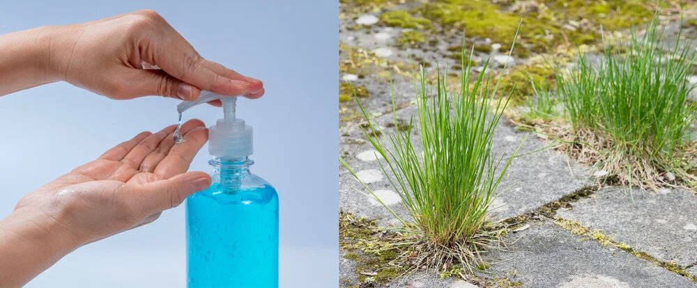 Изображение из открытого источника 