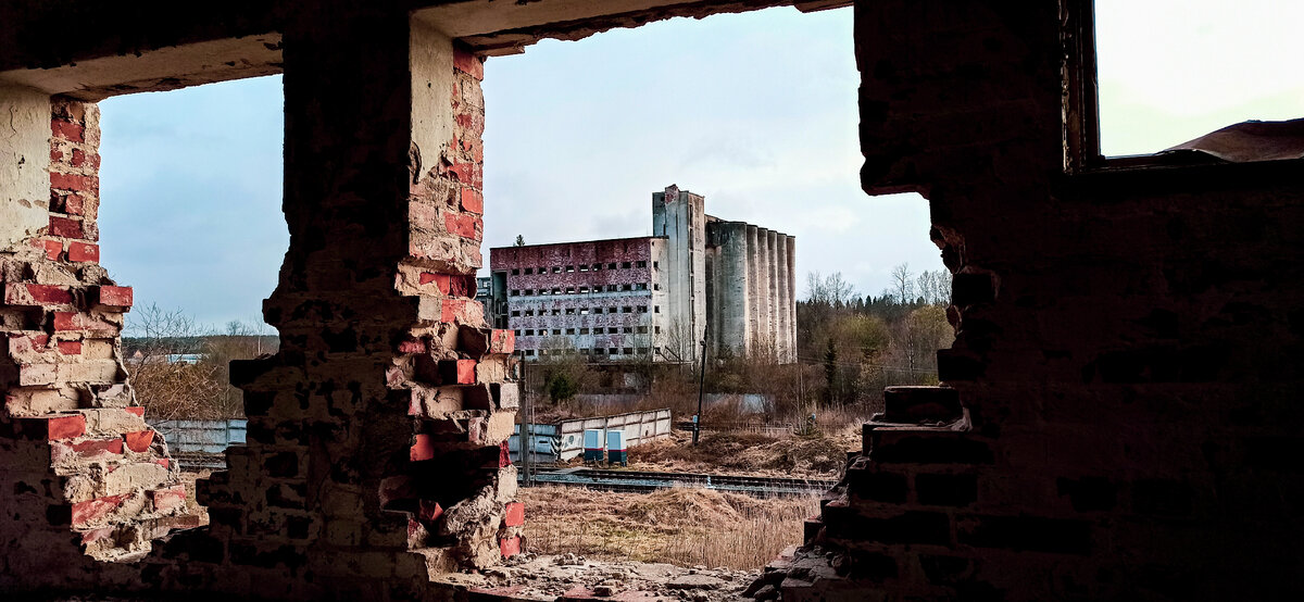 Вид на элеватор из соседнего заброса, близ Ленинградской улицы.