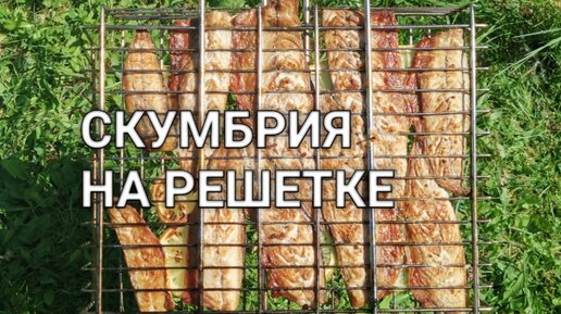 Скумбрия на мангале - это очень вкусно! Скумбрия на решетке на углях очень простой рецепт