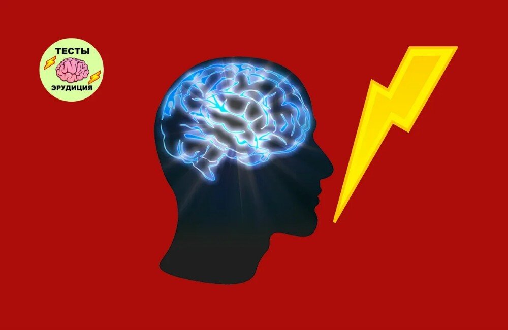 Вопросы для теста с ответами на эрудицию. Вопросы на эрудицию с ответами. Тест на эрудированность. Тесты на эрудицию. Тестовые вопросы фото.